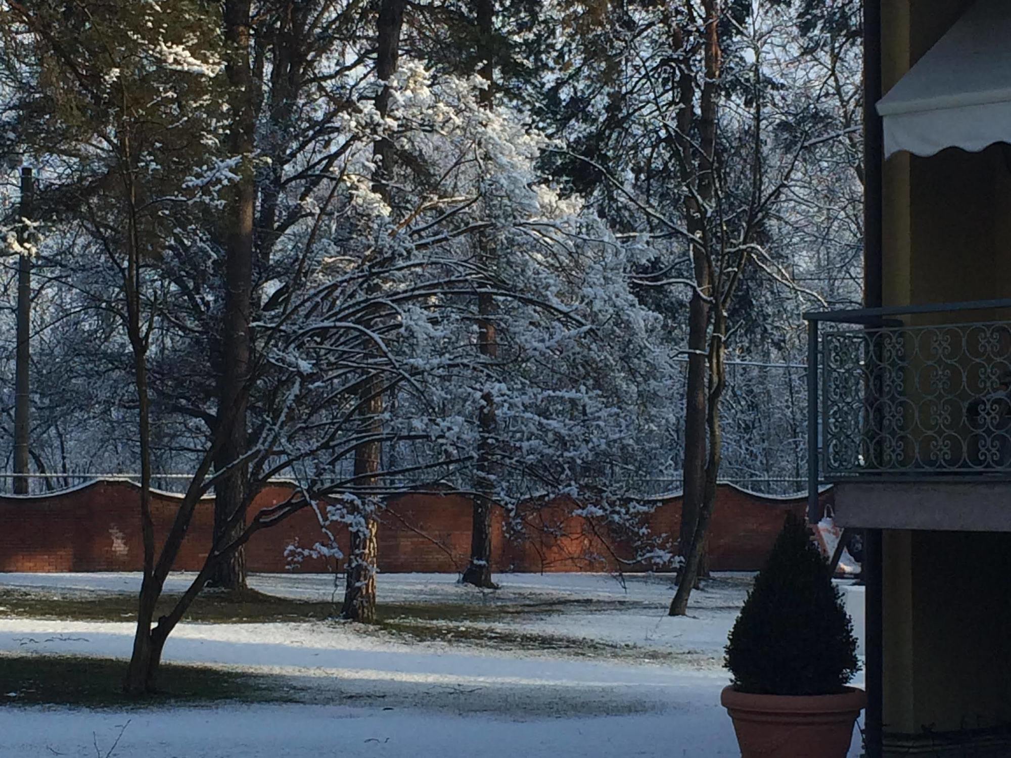 Bed&Garden Bed & Breakfast Cesate Екстериор снимка
